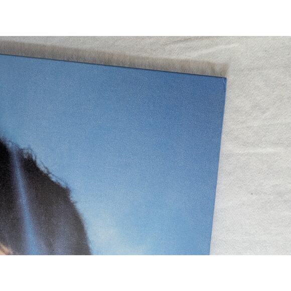 Magdalena Bay Imaginal Disk Vinyl Blood Records Limited /4000 New Unplayed - Picture 10 of 14